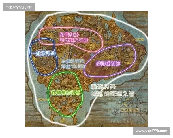 魔兽世界地图坐标输入，轻松定位全图